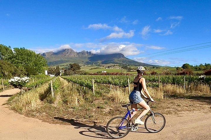 Self Guided Biking & Wine Tastings in Stellenbosch