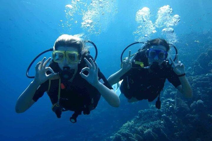 Dykning for begyndere 2 Dive, Lunch & Transfer: Hurghada