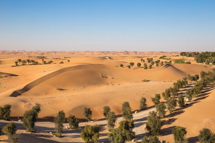 Private -Full Day Alain City Tour