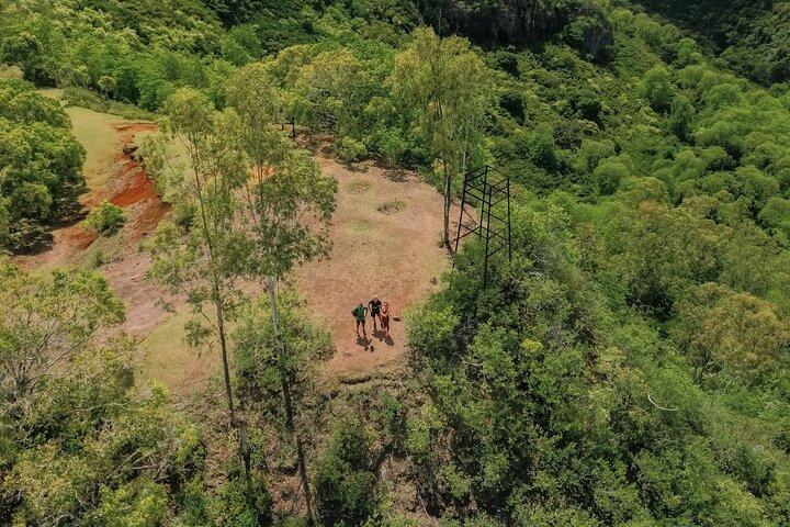Hiking in the Black River Gorges National Parc - Native Forest