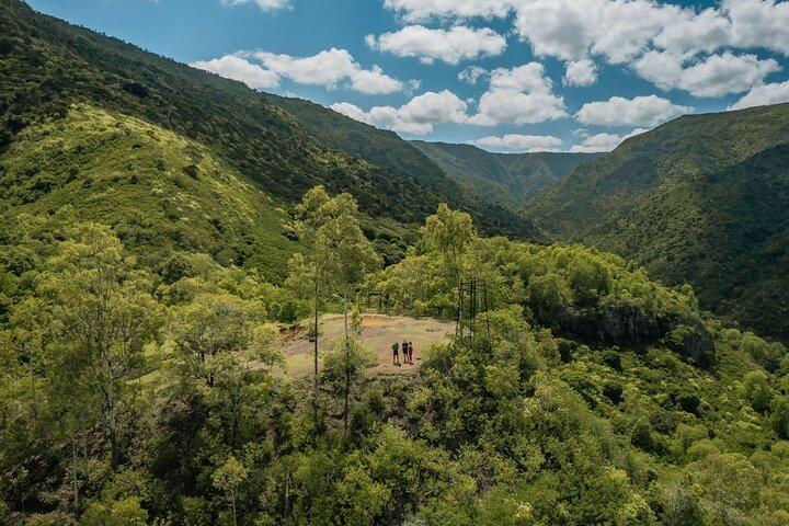 Hiking in the Black River Gorges National Parc - Native Forest