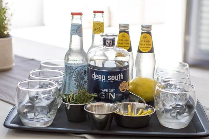 Full Day Cape Town Craft Gin trip