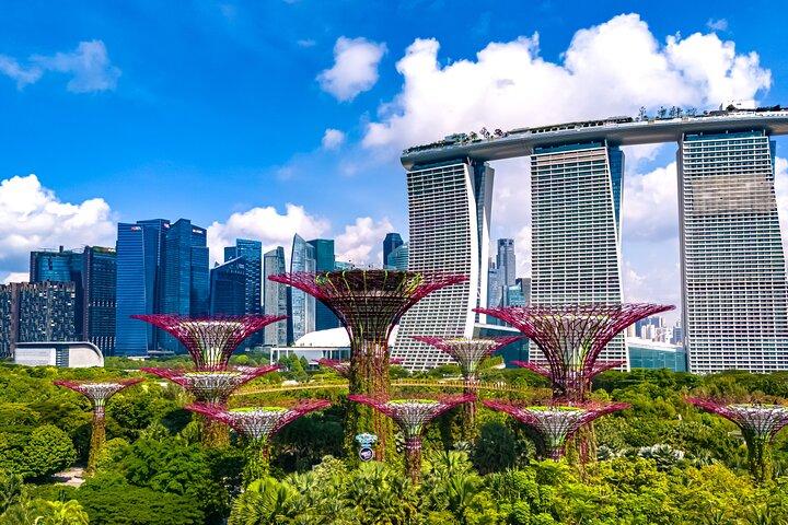 Private Singapore City Essentials Full Day Tour