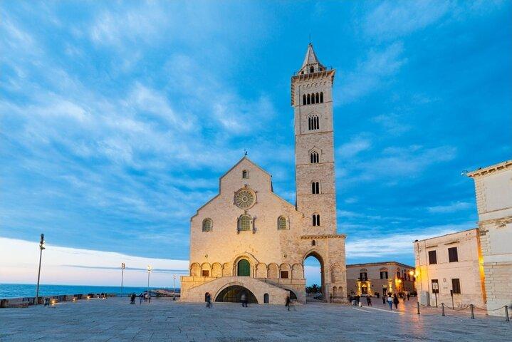Visite privée dans 3 joyaux côtiers : Trani, Molfetta, Giovinazzo.