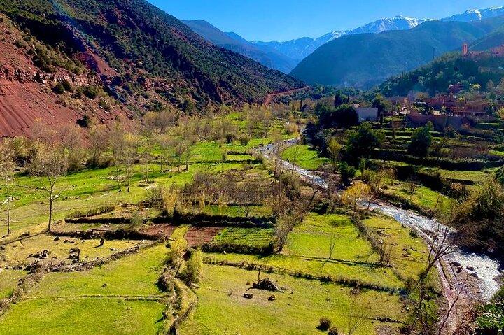 Marrakech Private Ourika Valley Day Trip