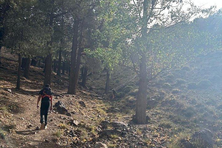 3 Day High Atlas Trekking Adventure Valleys and Berber Culture
