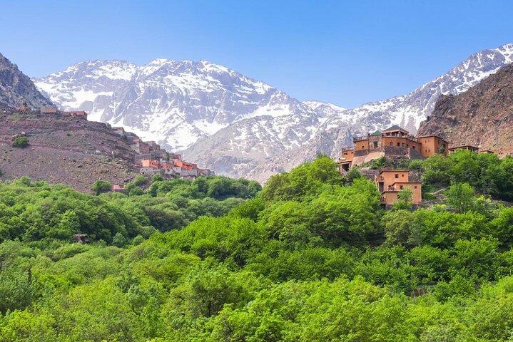 Marrakech: Private Atlas Mountains Day Trip, Lunch & Camel Ride