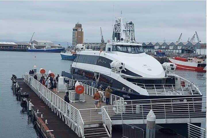Robben Island with Pre-Booked Tickets Half day Tour