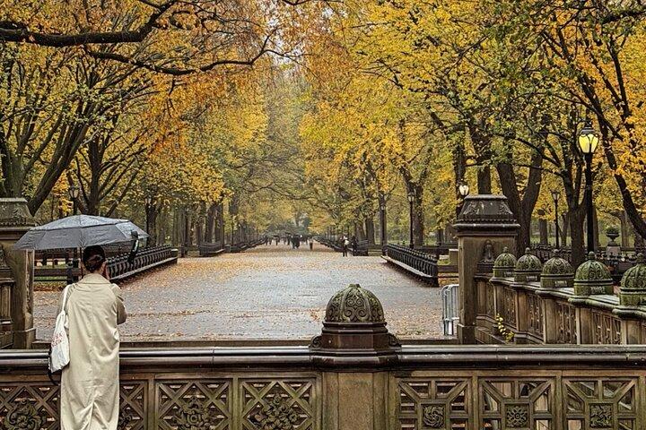 Central Park Pedicab Tour– Top Highlights