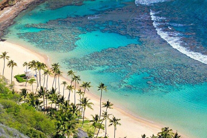 Fra Hoi An: Cham Islands snorkeltur med afslappende strand