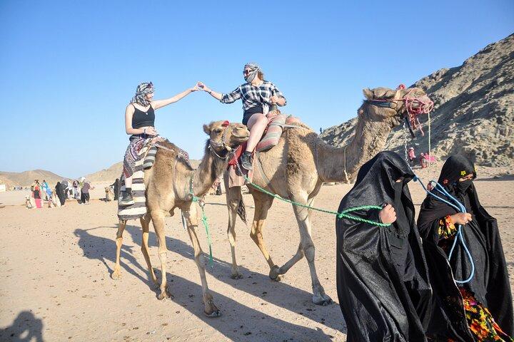 Came Ride 1 - Hora no deserto incrível com transferência: Marsa Alam