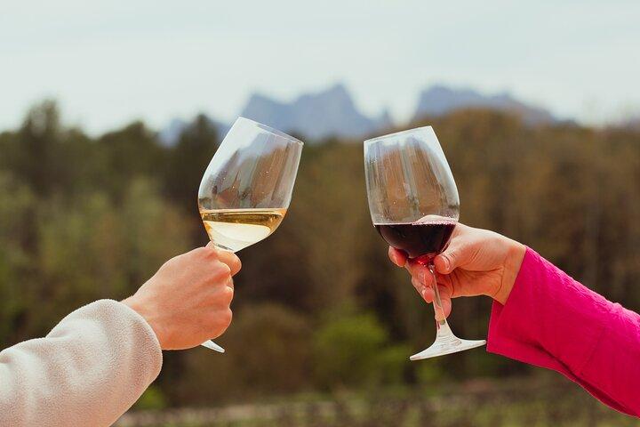 Montserrat & Boutique Weingut mit katalanischem Brunch | Private Tour