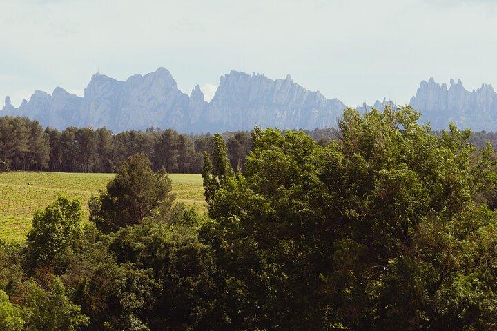 Montserrat & Boutique Weingut mit katalanischem Brunch | Private Tour