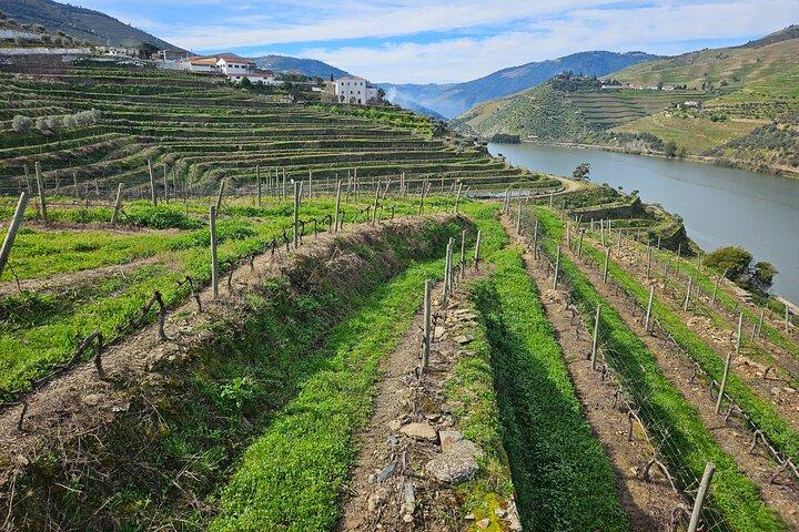 Transfer - Porto naar Douro Wijnstreek (of omgekeerd)