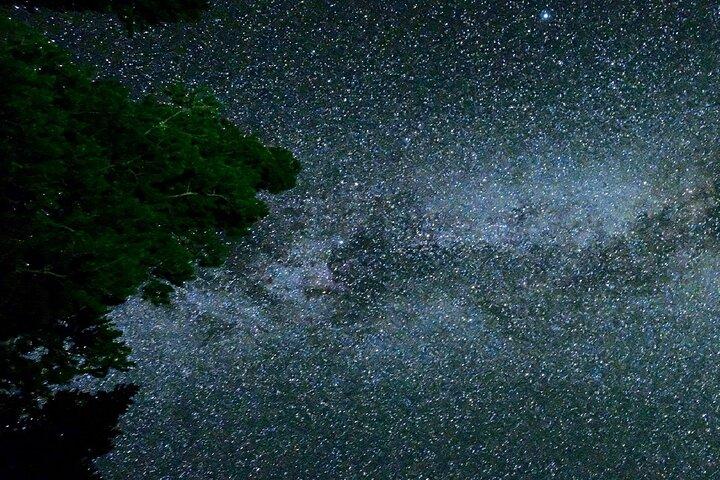 Joshua Tree Stargazing com Outlet compras de Los Angeles
