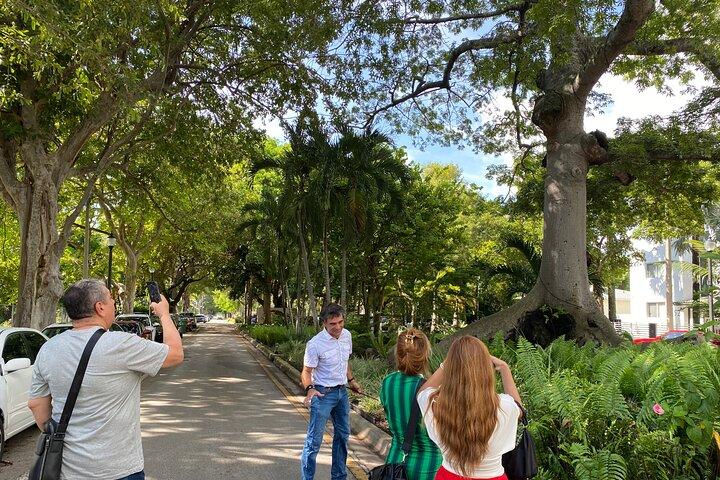 Miami South Beach Art Deco Fully Guided Walking Tour