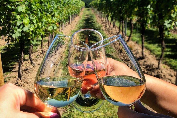 8 - Timme privat Limousine Wine Country Tour of Napa eller Sonoma