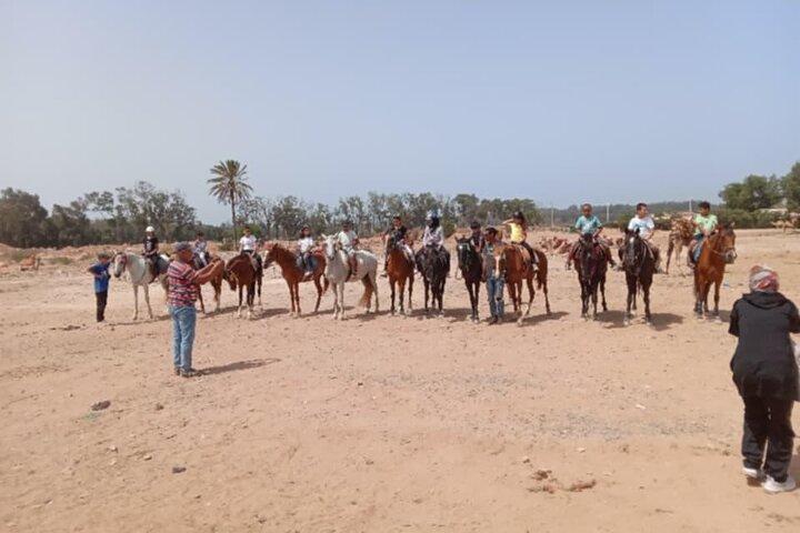 Horseback Riding in Agadir Guided Riverside Experience