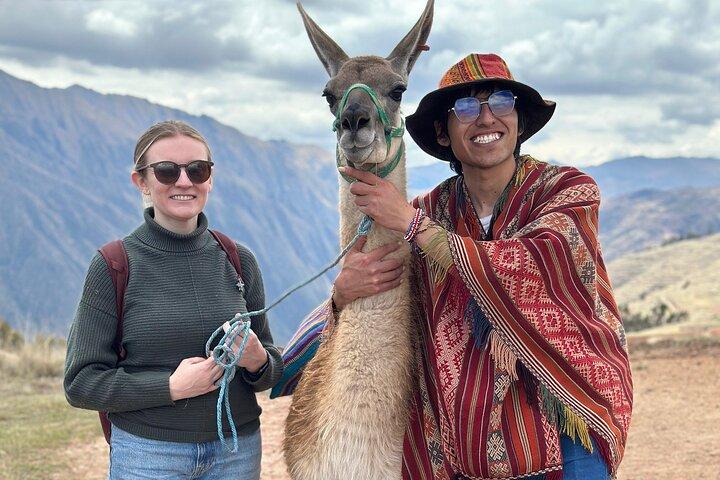 Llama & Alpaka Erfahrung (Cusco Region): ANDENFARBEN