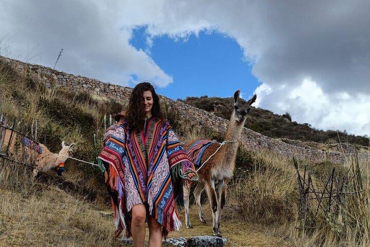 Llama & Alpaka Erfahrung (Cusco Region): ANDENFARBEN