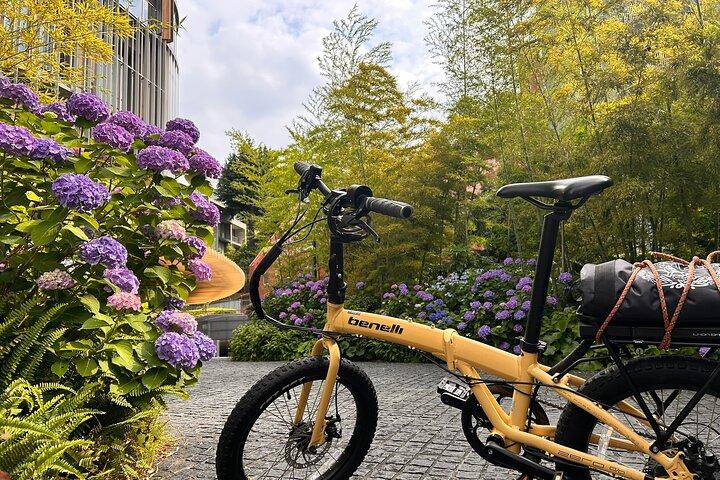 Tokyo Spring Flowering Gardens Tour met Gardener E-bike of wandeling