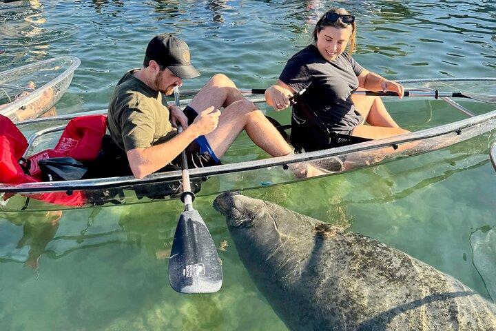 Crystal River: Três Irmãs Manatee Clear Kayak Tour