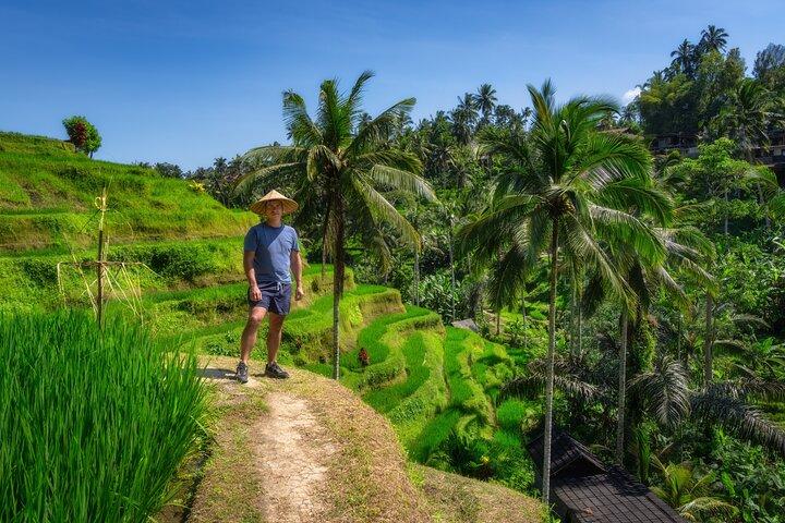 Visite privée d'une journée à Ubud