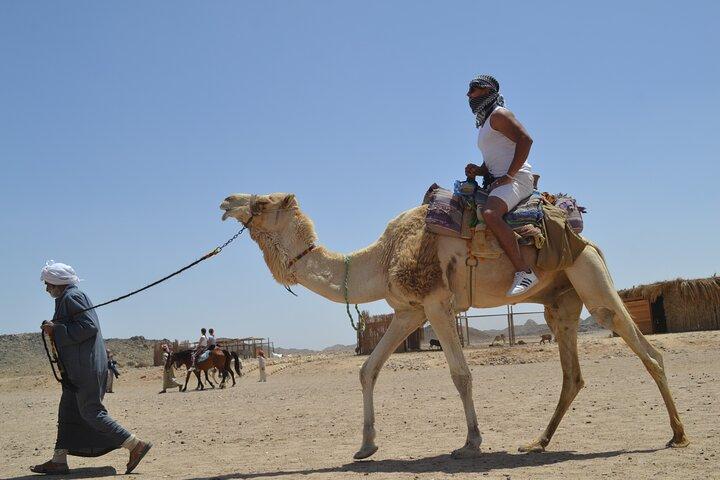 ATV Quad Bike 3 uur Sunset Safari met Camel Ride - Hurghada