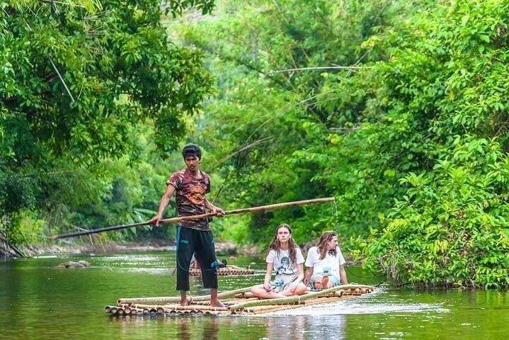 Visite privée de Phuket en minivan tortue marine
