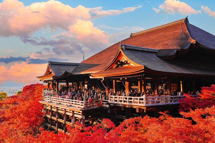 Tour privato di Kyoto Nara da Osaka