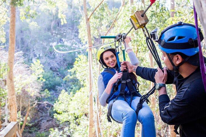 Cape Town Zipline Adventure (Hotel Pickup & Dropoff included)