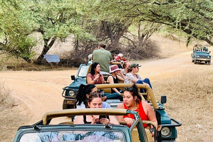 Jaipur till Jhalana Leopard reservation Privat dagstur All Inclusive