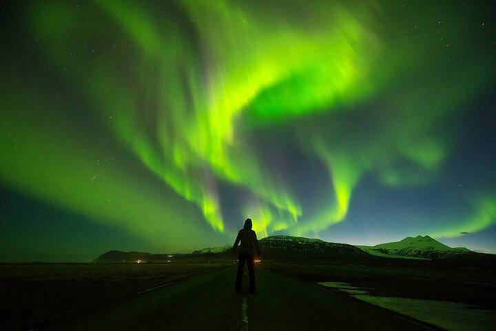 Northern Lights Jagt og besøg Arktiske Dyr