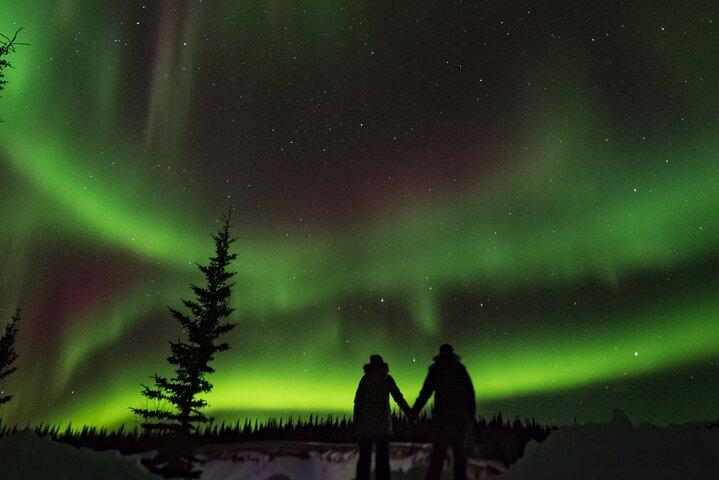 Northern Lights Jagt og besøg Arktiske Dyr