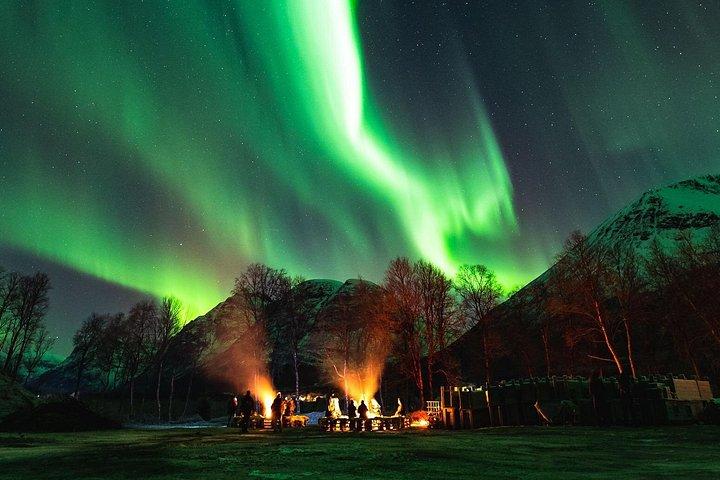 Northern Lights Jagt og besøg Arktiske Dyr