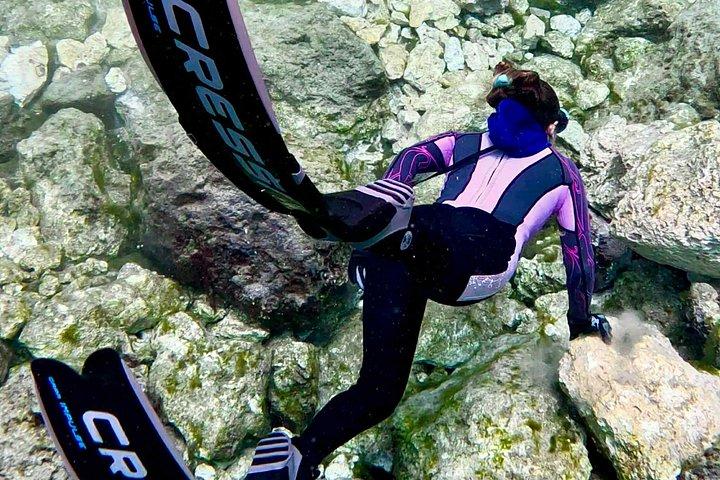 Crystal River Manatee Tour in Single Clear Kayaks