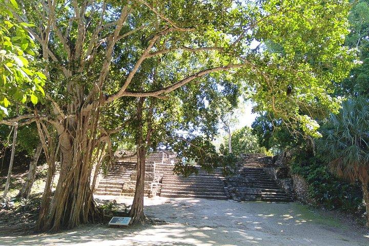 Chacchoben Mayan Ruins excursion
