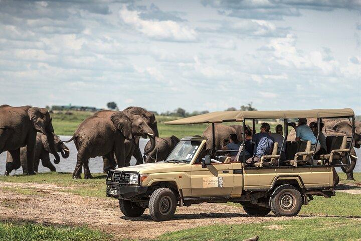 Chobe-dagtocht vanaf Victoria Falls