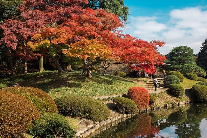Shinjuku Gyoen National Garden 2 Hour Walking Tour