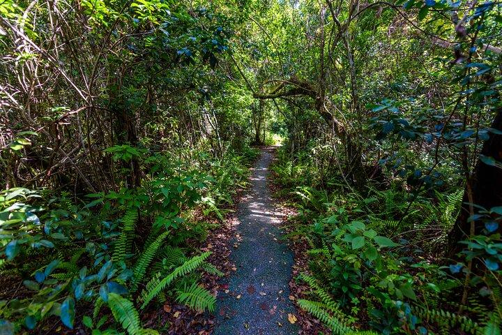 Everglades Nationalpark Private Autotour