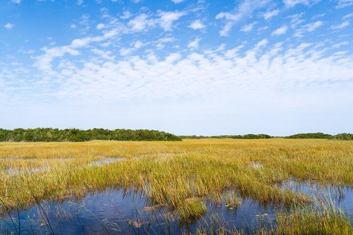 Everglades Nationalpark Private Autotour