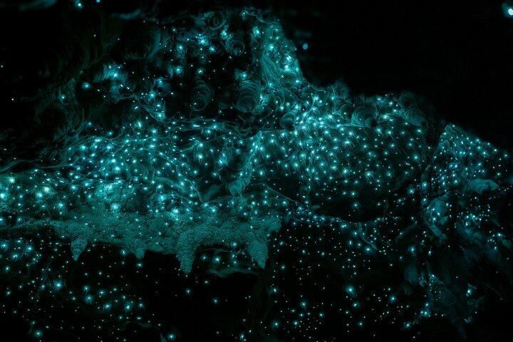 Dagstur till Waiomio Kawiti Glowworm Cave & Ngawha Hot Springs