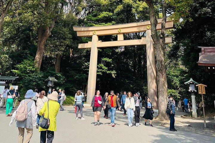 Meiji Shrine Sacred Forest and Shinto Traditions Walking Tour