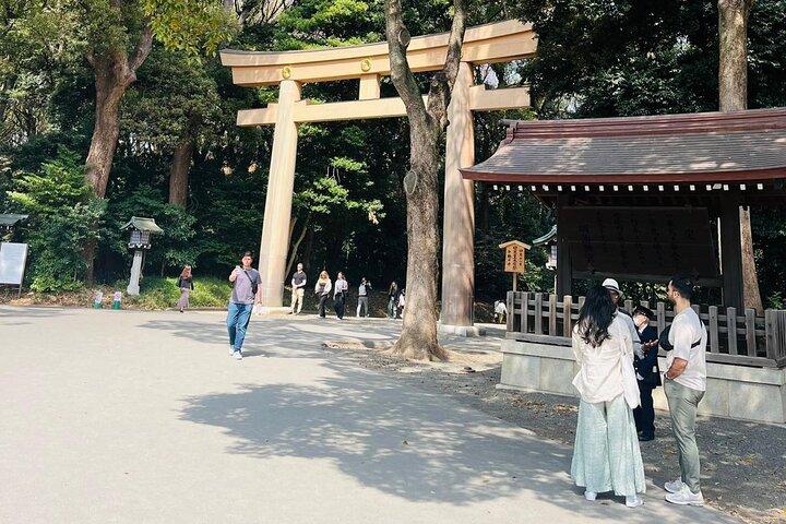 Meiji Shrine Sacred Forest and Shinto Traditions Walking Tour