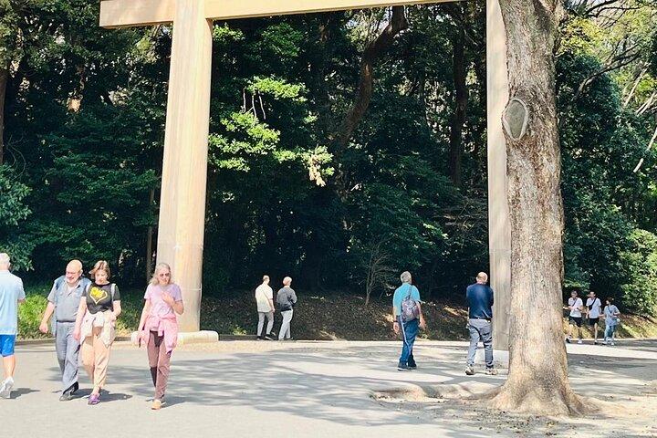 Meiji Shrine Sacred Forest and Shinto Traditions Walking Tour