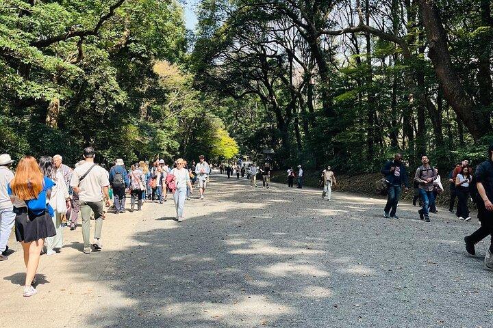 Meiji Shrine Sacred Forest and Shinto Traditions Walking Tour