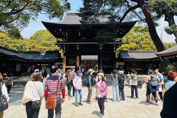 Meiji Shrine Sacred Forest and Shinto Traditions Walking Tour