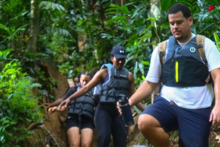 Autentic El Yunque Rainforest Adventure — Cataratas e slides