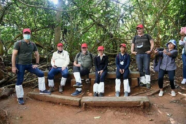 Khao Yai Full Day Tour Haew Narok Waterfall e trekking na selva