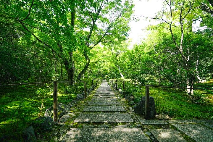 京都嵐山竹林＆隠れ家散策ツアー